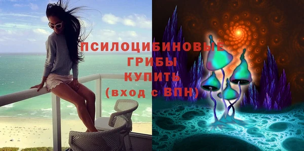 мдма Новозыбков