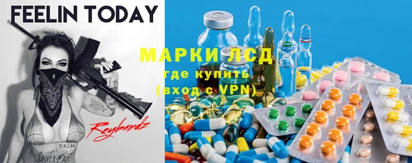 спиды Новодвинск
