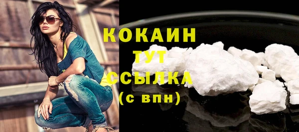 спиды Новодвинск