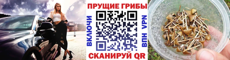 цены   мега вход  Галлюциногенные грибы мухоморы  Севск 